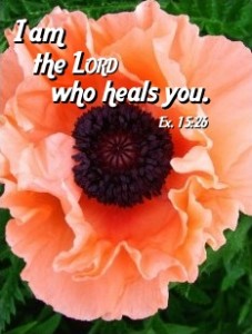 I am the Lord who heals you