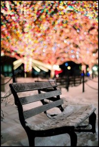 Bench in the snow